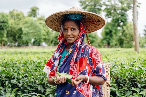 Aloka holds some tea leaves, a small smile on her face