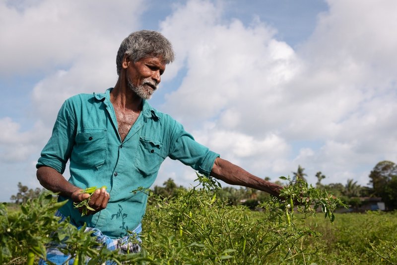 nanthakumar sri lanka.jpg